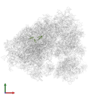 Large ribosomal subunit protein eL37 in PDB entry 7xny, assembly 1, front view.