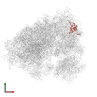 Small ribosomal subunit protein eS4, X isoform in PDB entry 7xny, assembly 1, front view.