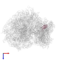 Small ribosomal subunit protein uS9 in PDB entry 7xny, assembly 1, top view.