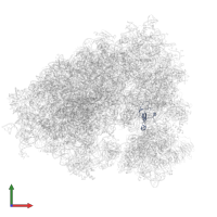 Small ribosomal subunit protein eS26 in PDB entry 7xny, assembly 1, front view.