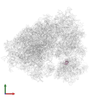 Small ribosomal subunit protein eS28 in PDB entry 7xny, assembly 1, front view.