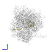 Large ribosomal subunit protein uL4 in PDB entry 7xny, assembly 1, side view.