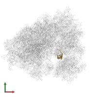 Small ribosomal subunit protein uS11 in PDB entry 7xny, assembly 1, front view.