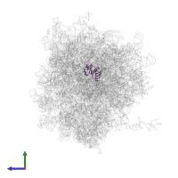 Small ribosomal subunit protein uS8 in PDB entry 7xny, assembly 1, side view.