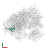 Large ribosomal subunit protein uL30 in PDB entry 7xny, assembly 1, front view.