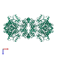 Probable cystathionine beta-synthase Rv1077 in PDB entry 7xoh, assembly 1, top view.