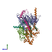 Hetero pentameric assembly 1 of PDB entry 7xp5 coloured by chemically distinct molecules, side view.