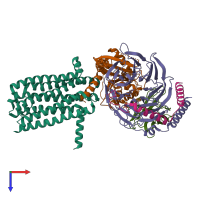 Hetero pentameric assembly 1 of PDB entry 7xp5 coloured by chemically distinct molecules, top view.