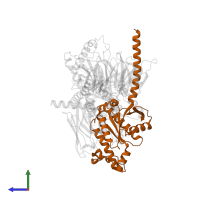 Guanine nucleotide-binding protein G(s) subunit alpha isoforms short in PDB entry 7xp5, assembly 1, side view.