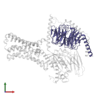 Guanine nucleotide-binding protein G(I)/G(S)/G(T) subunit beta-1 in PDB entry 7xp5, assembly 1, front view.