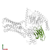 Nanobody 35 in PDB entry 7xp5, assembly 1, front view.