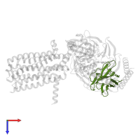 Nanobody 35 in PDB entry 7xp5, assembly 1, top view.