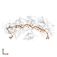 RNA (35-MER) in PDB entry 7xso, assembly 1, front view.