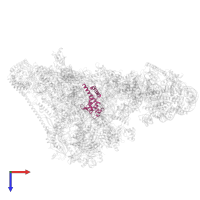 RNA polymerase Rpb4/RPC9 core domain-containing protein in PDB entry 7xtd, assembly 1, top view.