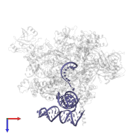 RNA (nun gene and immunity region) in PDB entry 7xue, assembly 1, top view.