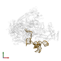 RNA (122-mer) in PDB entry 7xui, assembly 1, front view.
