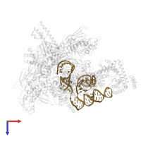 RNA (122-mer) in PDB entry 7xui, assembly 1, top view.