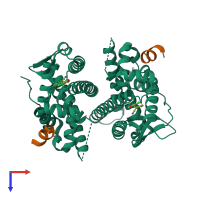 Hetero tetrameric assembly 1 of PDB entry 7xvz coloured by chemically distinct molecules, top view.