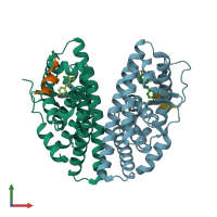 PDB entry 7xvz coloured by chain, front view.