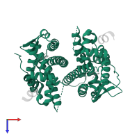 Estrogen receptor beta in PDB entry 7xvz, assembly 1, top view.