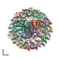 PDB entry 7xxf coloured by chain, front view.