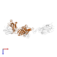 Immunoglobulin gamma-1 heavy chain in PDB entry 7xxl, assembly 1, top view.