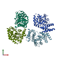 PDB entry 7xyu coloured by chain, front view.
