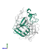 Transmembrane protease serine 2 non-catalytic chain in PDB entry 7y0e, assembly 2, side view.