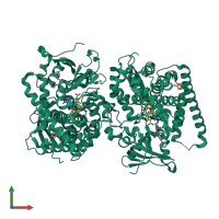 Homo dimeric assembly 1 of PDB entry 7y0p coloured by chemically distinct molecules, front view.