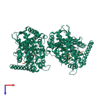 Homo dimeric assembly 1 of PDB entry 7y0p coloured by chemically distinct molecules, top view.