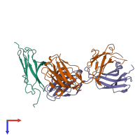 Hetero trimeric assembly 1 of PDB entry 7y1b coloured by chemically distinct molecules, top view.