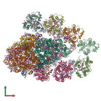 PDB entry 7y3f coloured by chain, front view.