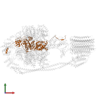 ATP synthase subunit alpha in PDB entry 7y5b, assembly 1, front view.