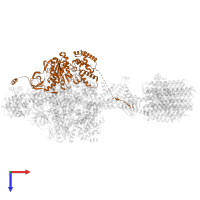 ATP synthase subunit alpha in PDB entry 7y5b, assembly 1, top view.