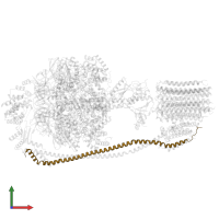 ATP synthase subunit b in PDB entry 7y5b, assembly 1, front view.