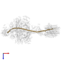 ATP synthase subunit b in PDB entry 7y5b, assembly 1, top view.