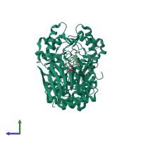 Homo dimeric assembly 1 of PDB entry 7y5f coloured by chemically distinct molecules, side view.