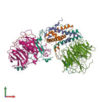 PDB entry 7y5u coloured by chain, front view.