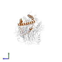 Histone H3.1 in PDB entry 7y5u, assembly 1, side view.