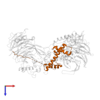 Histone H3.1 in PDB entry 7y5u, assembly 1, top view.