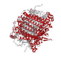 The deposited structure of PDB entry 7y7b contains 1 copy of Pfam domain PF00223 (Photosystem I psaA/psaB protein) in Photosystem I P700 chlorophyll a apoprotein A1. Showing 1 copy in chain J [auth A].