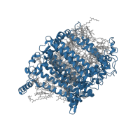 The deposited structure of PDB entry 7y7b contains 1 copy of Pfam domain PF00223 (Photosystem I psaA/psaB protein) in Photosystem I P700 chlorophyll a apoprotein A2. Showing 1 copy in chain K [auth B].