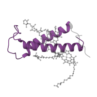 The deposited structure of PDB entry 7y7b contains 1 copy of Pfam domain PF01241 (Photosystem I psaG / psaK) in Photosystem I reaction center subunit PsaK. Showing 1 copy in chain R [auth K].