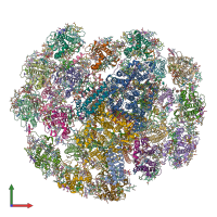 PDB entry 7y7b coloured by chain, front view.