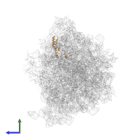 Small ribosomal subunit protein uS14 in PDB entry 7y7f, assembly 1, side view.