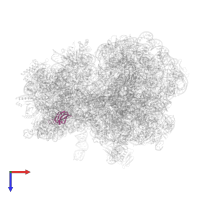 Small ribosomal subunit protein bS16 in PDB entry 7y7f, assembly 1, top view.