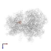 Small ribosomal subunit protein uS17 in PDB entry 7y7f, assembly 1, top view.