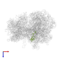 Large ribosomal subunit protein uL16 in PDB entry 7y7f, assembly 1, top view.