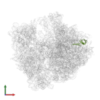 Large ribosomal subunit protein bL21 in PDB entry 7y7f, assembly 1, front view.