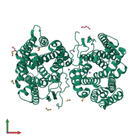 Homo dimeric assembly 1 of PDB entry 7y9h coloured by chemically distinct molecules, front view.